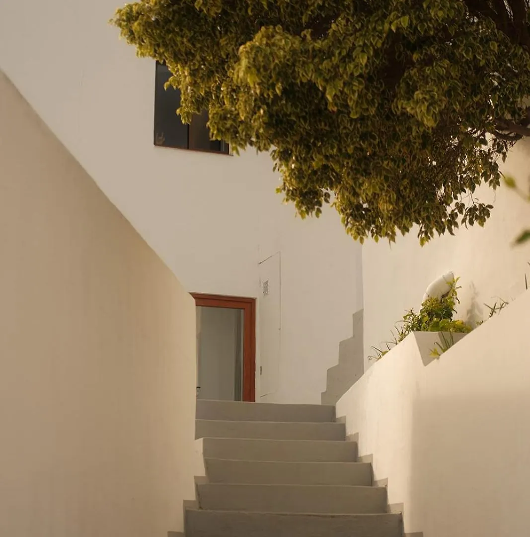 Casa Cactus - Heated Pool And Only 5 Boutique Apartments Icod De Los Vinos