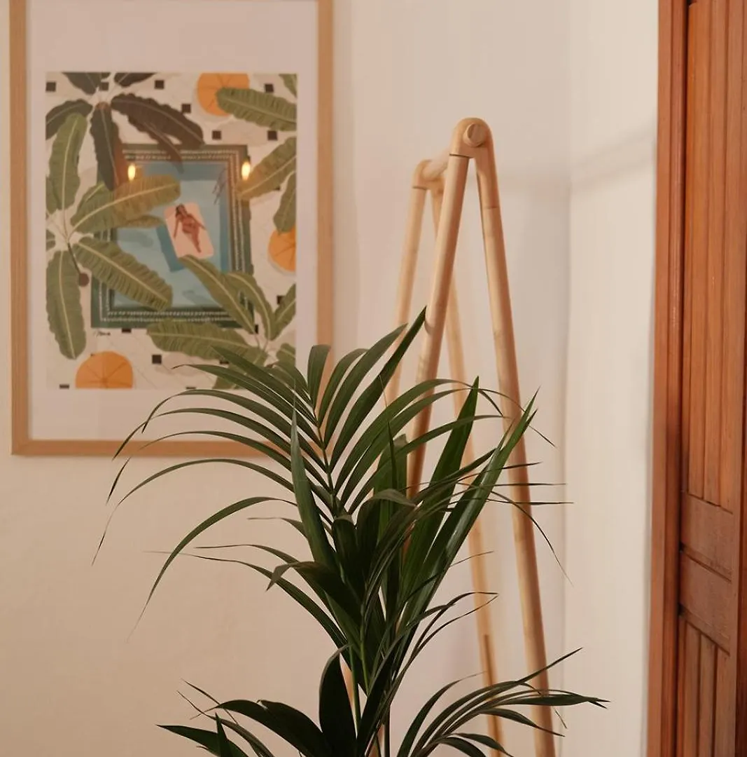 Casa Cactus - Heated Pool And Only 5 Boutique Apartments Icod De Los Vinos