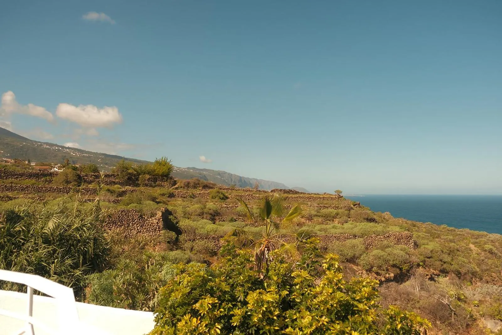 Casa Cactus - Heated Pool And Only 5 Boutique Apartments Icod De Los Vinos