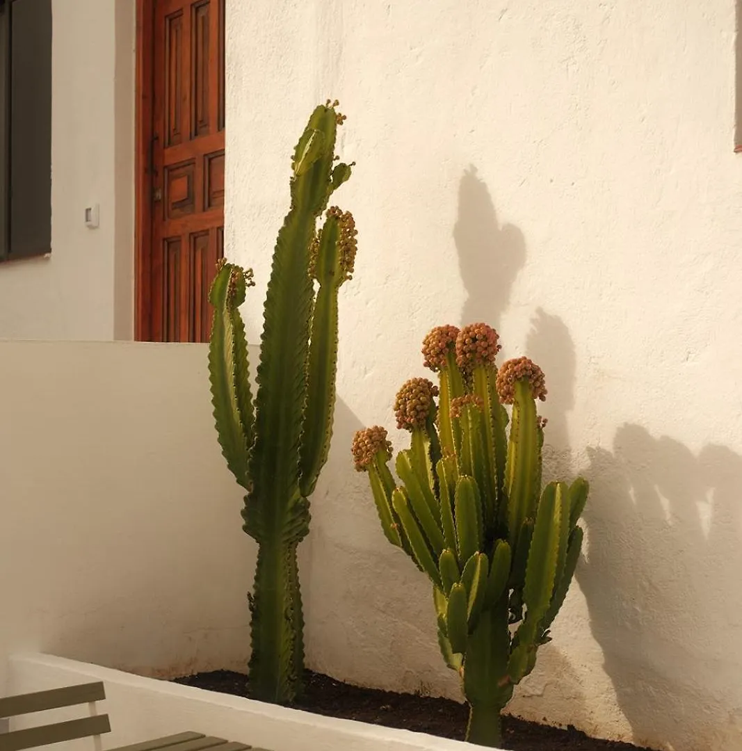 Casa Cactus - Heated Pool And Only 5 Boutique Apartments Icod De Los Vinos Spain